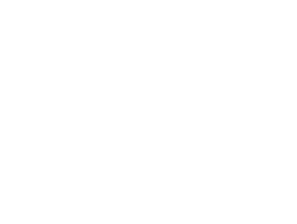 Instituto Moinhos de Vento