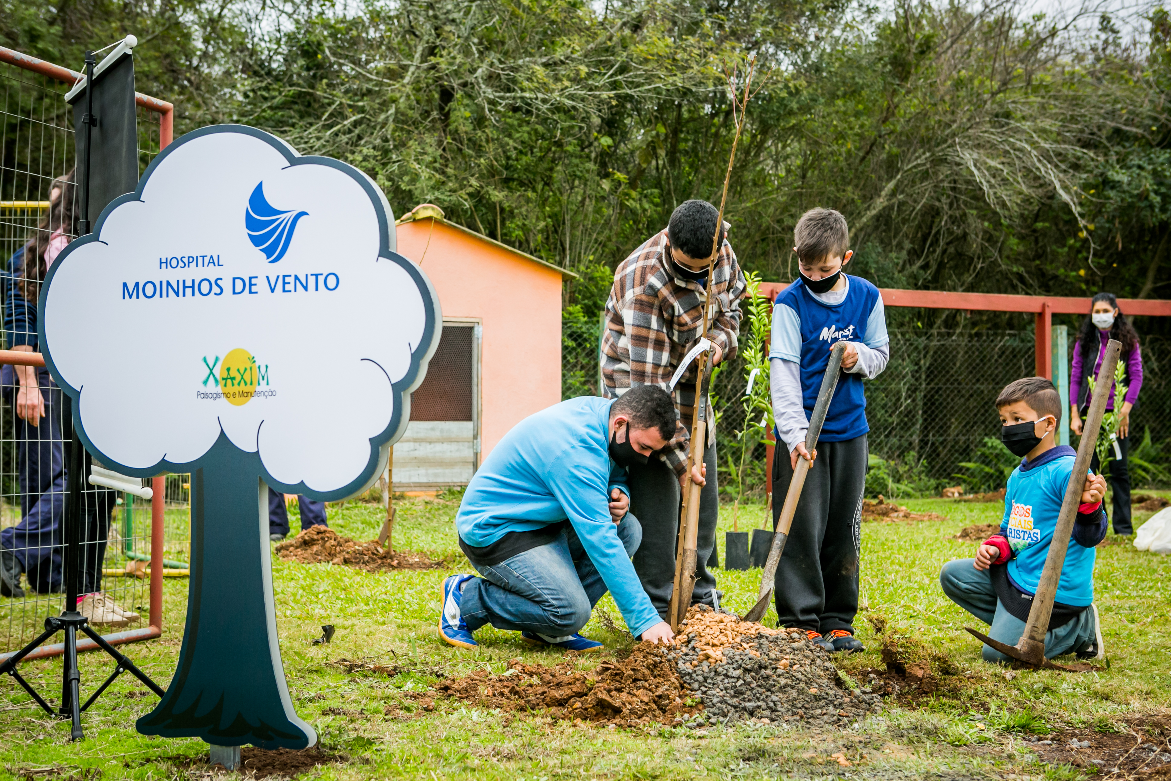 Hospital Moinhos de Vento promove plantio de árvores e hortaliças na Ilha Grande dos Marinheiros